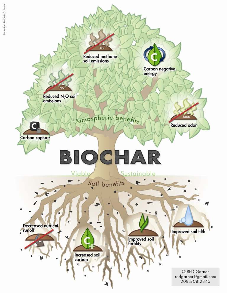 Biochar Tree