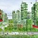 Urban Forests: The Cities of 2050